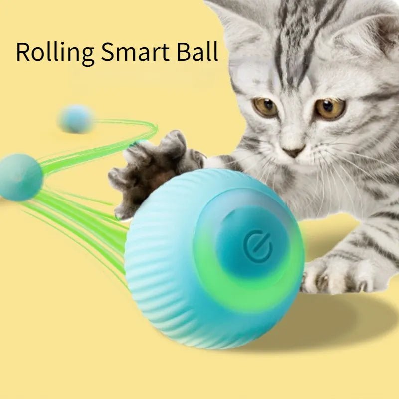 PurrPlay 360™ Interactieve Kattenspeelgoedbal - Wannahave Deals